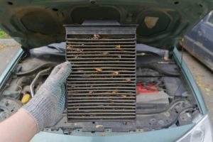 Meineke Car Care | Cabin Air Filter | Chicago